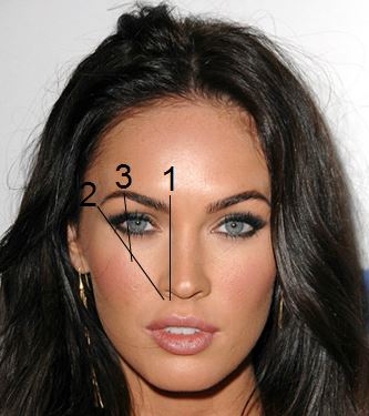 eyebrow-chart